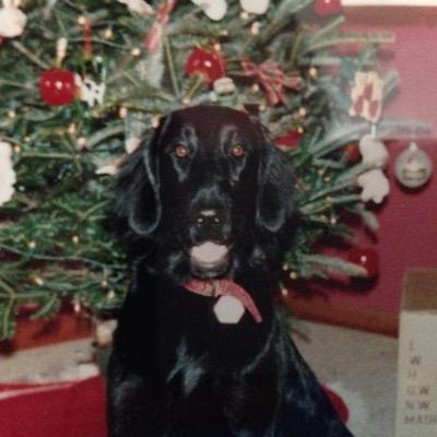 atfstorm's profile picture. 