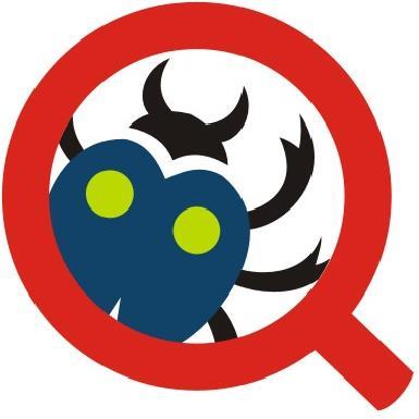 QA Mentor Profile