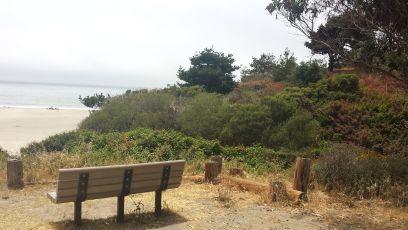 kdholguin's profile picture. Lover of Christ, Sinner, unrefined, quirky...working on my potty mouth and attraction to all things sweet and fried.