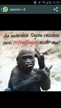 Cg360Charly's profile picture. 