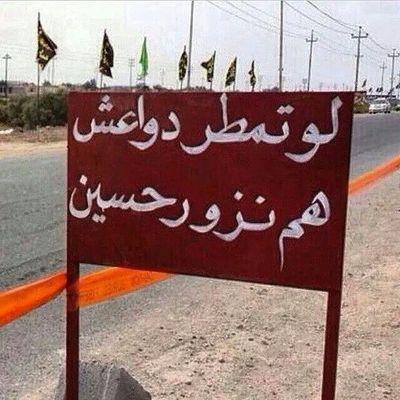 ahmedy0000's profile picture. 