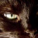 Lisa Purcell 👻 - @Maya_Ocaniko - Twitter