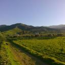 Barbara Will - @barbarawill_m - Twitter