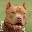 MARIO Tavarez - @mario_matm - Twitter