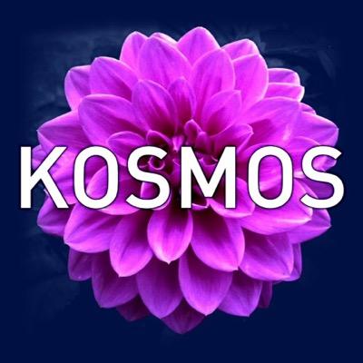 Kosmos publishes the voices of leading edge visionary thinkers and actors in building the emerging global culture.