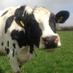Dunn's Dairy (@dunnsdairy) Twitter profile photo Dunn's Dairy (@dunnsdairy) Twitter profile photo