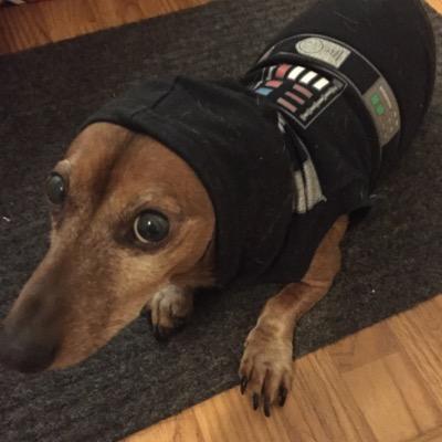 DarthWeenie's profile picture. fighting rebels, building Death Stars, and walking on a leash