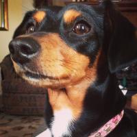 winnie cooper (@winnietheninja) 's Twitter Profile