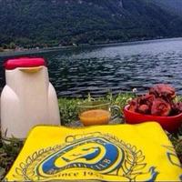 ابو فارس (@tallihyani) Twitter profile photo