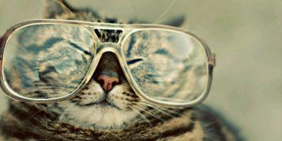 ♥FowQie♥