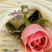 نسالكم الدعاء (@aaibrahimali) 's Twitter Profile