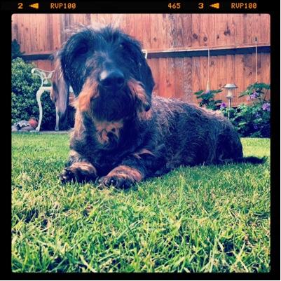 TraceyxHart's profile picture. 