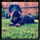 Tracey Hart - @TraceyxHart - Twitter