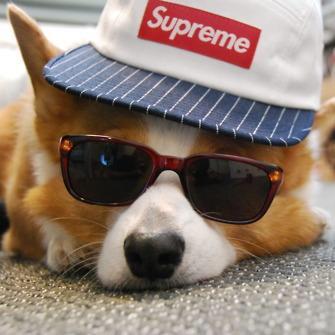this is the real me