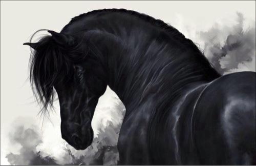 Yab3dhm_klhm's profile picture. هُنا قناتي