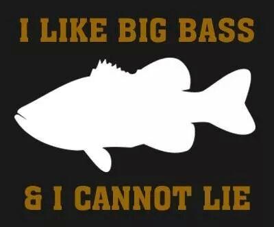 TheBassinKid's profile picture. MX fan and I love beautiful women! Adults only 18+.... I post almost anything and I will block any negativity!