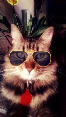 eliisardz's profile picture. 