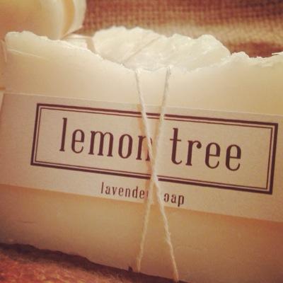 pure. simple. soap. free of artificial dyes, fragrances, and preservatives, this soap is perfect for the consumer looking to reduce chemical exposure.