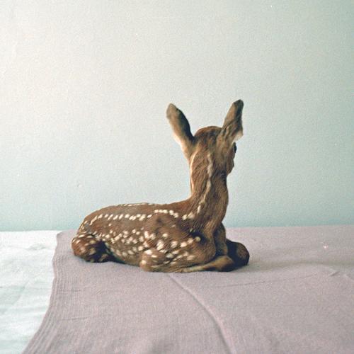 dearines's profile picture. 