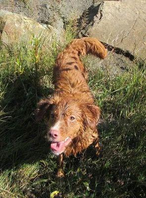 EdParkDogsYYC's profile picture. Offleash park roaming the hills south of the Bow & East of Sarcee Trail. Advocating for the Park.