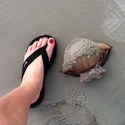 SPerkins152's profile picture. 