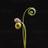 Doxastic_B's profile image