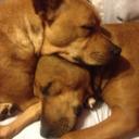 dayna green - @Dayna_MissGreen - Twitter