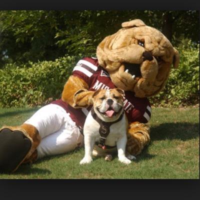 don't we all love HAILSTATE???