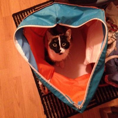 karenkovalic's profile picture. 