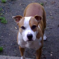 Peter Fullagar (@peterfullagar) 's Twitter Profile