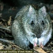 StopOneStopShop's profile picture. 