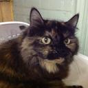 Dan Frey - @danfrey2018 - Twitter