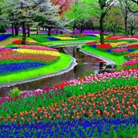 Lisna Wati (@lisnaratnafuri) 's Twitter Profile