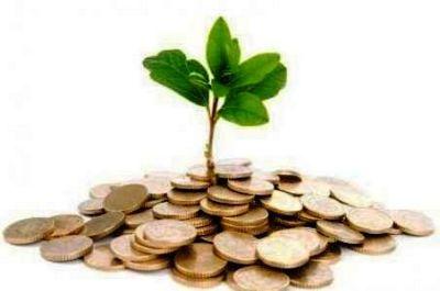 Un Equipo Integrado para Crecer en la Adversidad! Como las plantas como la economía, como el dinero, como la Naturaleza Verde!