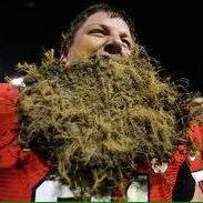 stingemm's profile picture. not our hedges!