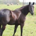 Lori Bedford - @LoriBedford1 - Twitter