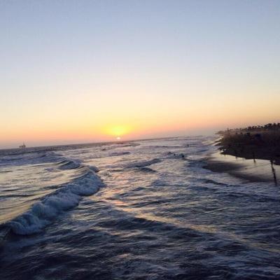 poisonedpetalsx's profile picture. 