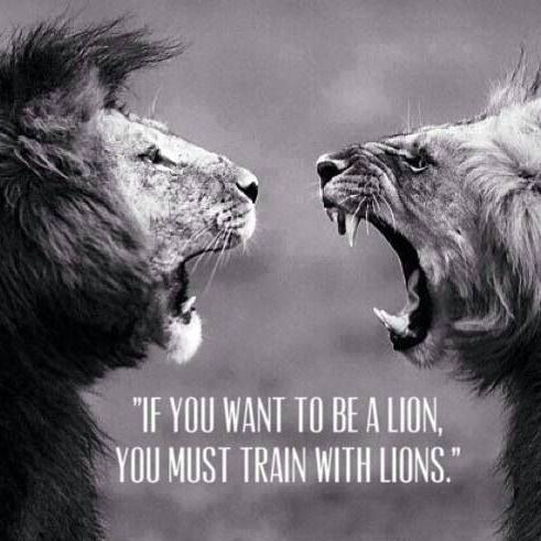 Like to do outdoor stuff. Love doing Crossfit. Work as Business Analyst