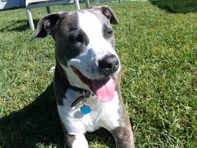 Mjg958's profile picture. 