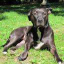 Terry Roddy - @troddy4380 - Twitter