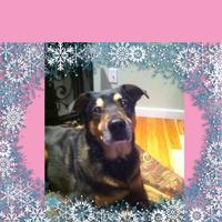 Ms.Butters (@kabutterworth) 's Twitter Profile