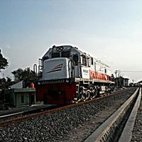 Muhammad Nuzzila (@nuzzilacepoe) 's Twitter Profile