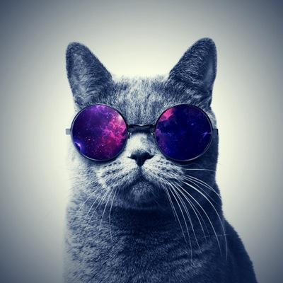 Twitteuse à ses heures perdues