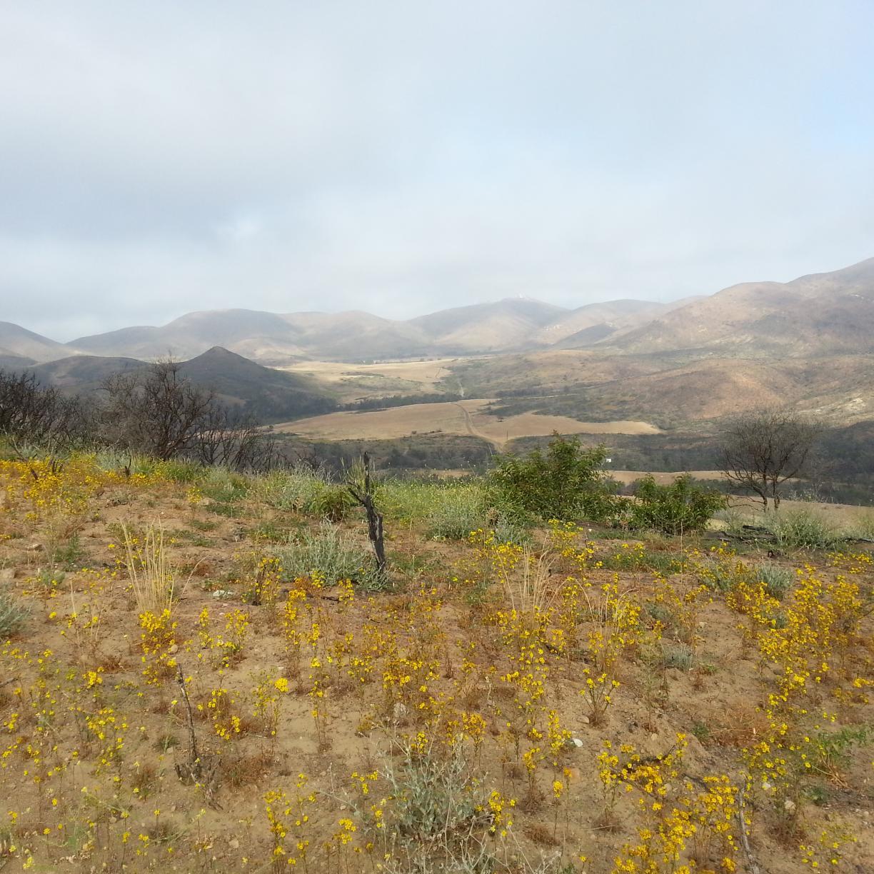 LAbizniz's profile picture. Optimally an Optimist. Business, Technology, Life and Connecting.