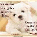 araceli luna mejia - @ChelisMejia - Twitter