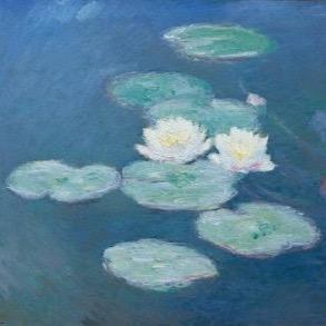 ChaudhryYasmin's profile picture. 