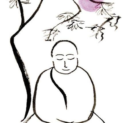 zenpractice's profile picture. The Zen Practice Foundation