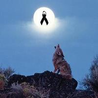 Vecinos Sto Dom Coy (@stodomcoyoacan) 's Twitter Profile
