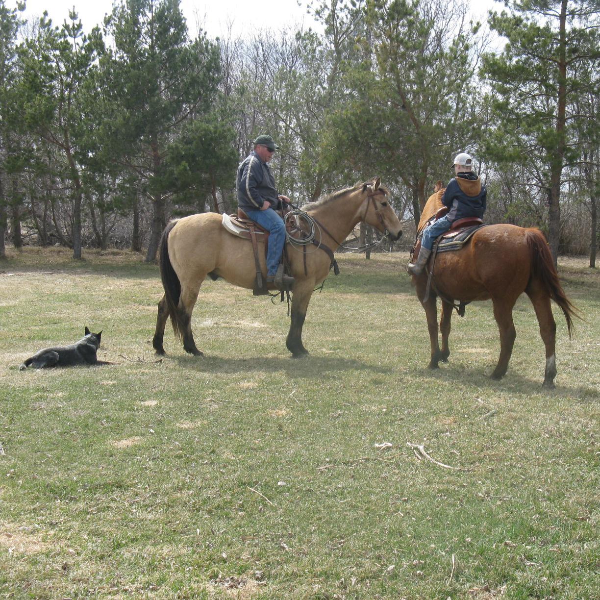 Father of 3 boys, rancher,.