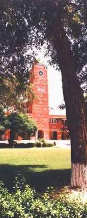 nice city of
#RahimYarKhan
#Punjab
#Pakistan